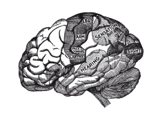 Иллюстрация к книге — Книга, которую читают все [i_339.jpg]