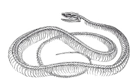 Иллюстрация к книге — Книга, которую читают все [i_347.jpg]