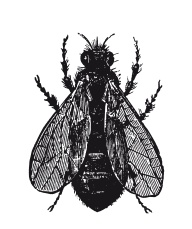 Иллюстрация к книге — Книга, которую читают все [i_368.jpg]