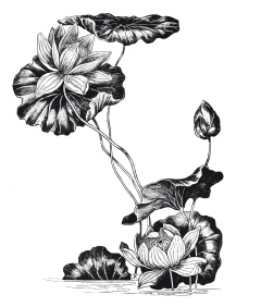 Иллюстрация к книге — Книга, которую читают все [i_382.jpg]