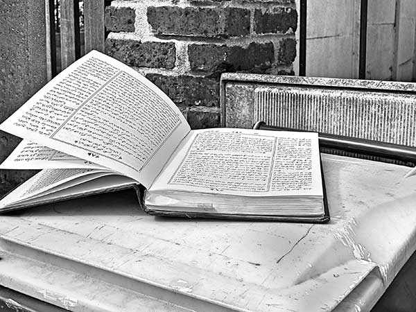 Иллюстрация к книге — Предместья мысли. Философическая прогулка [i_014.jpg]