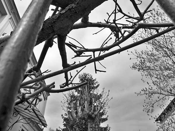 Иллюстрация к книге — Предместья мысли. Философическая прогулка [i_023.jpg]