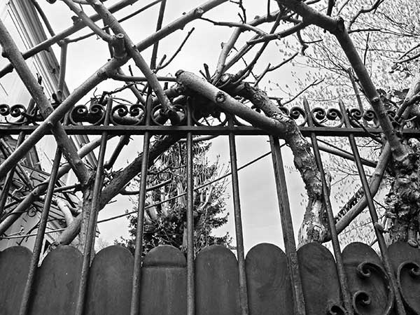 Иллюстрация к книге — Предместья мысли. Философическая прогулка [i_025.jpg]