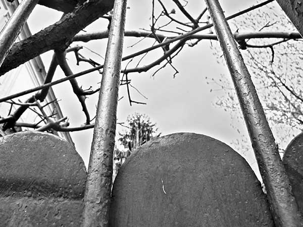 Иллюстрация к книге — Предместья мысли. Философическая прогулка [i_026.jpg]