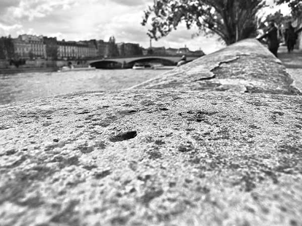 Иллюстрация к книге — Предместья мысли. Философическая прогулка [i_044.jpg]