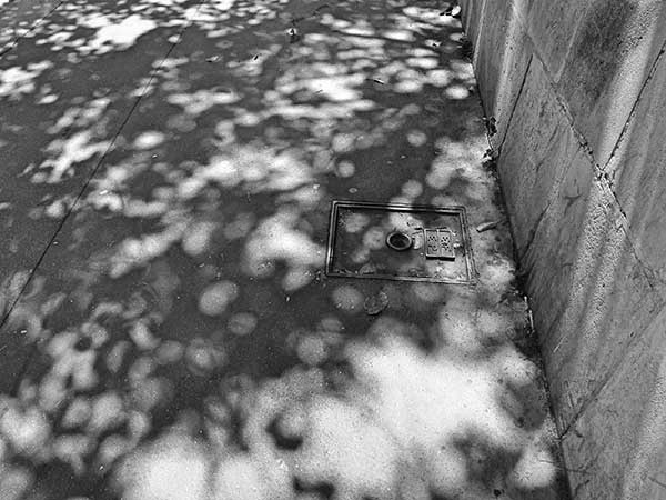 Иллюстрация к книге — Предместья мысли. Философическая прогулка [i_092.jpg]