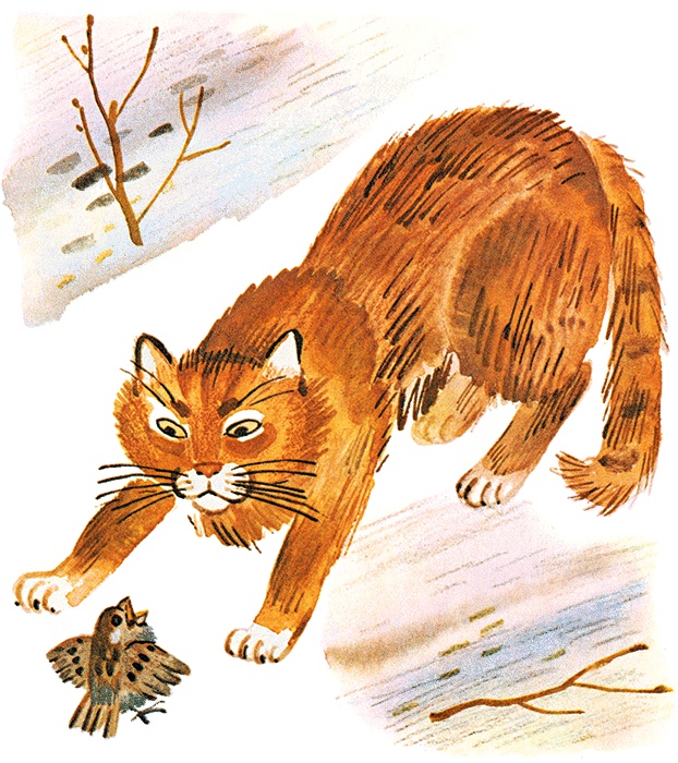 Иллюстрация к книге — Случай с Евсейкой (сборник) [i_008.jpg]