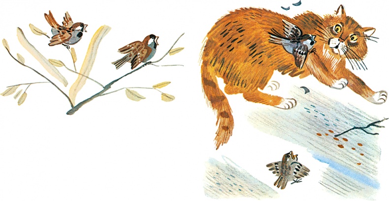 Иллюстрация к книге — Случай с Евсейкой (сборник) [i_009.jpg]