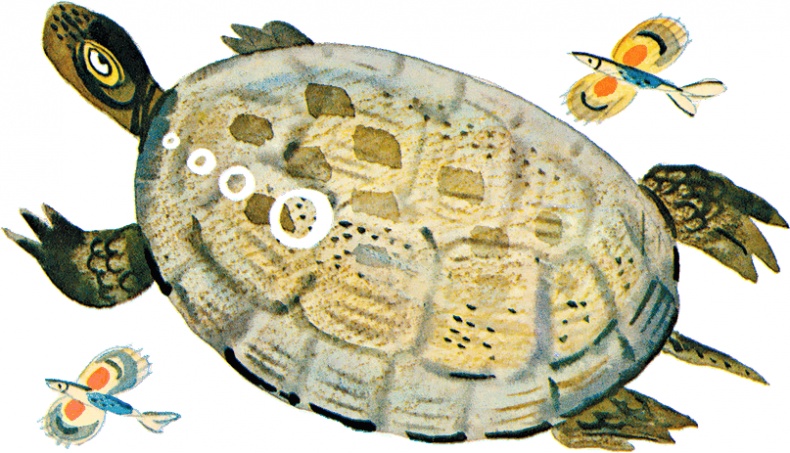 Иллюстрация к книге — Случай с Евсейкой (сборник) [i_013.jpg]