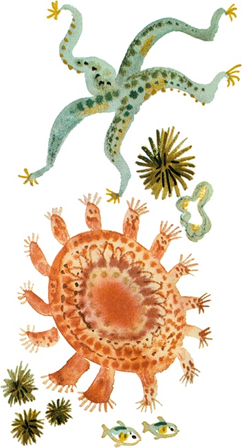 Иллюстрация к книге — Случай с Евсейкой (сборник) [i_017.jpg]