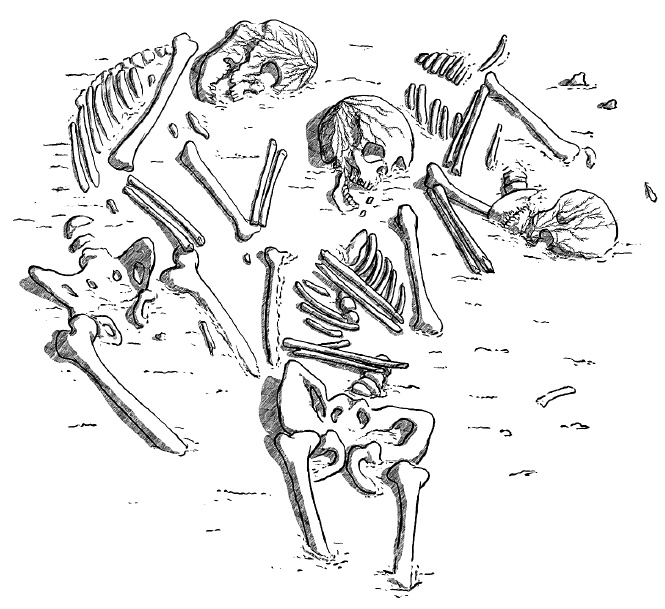 Иллюстрация к книге — Сила [i_005.jpg]