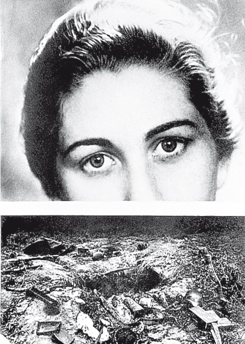 Иллюстрация к книге — Враг Геббельса № 3 [i_010.jpg]