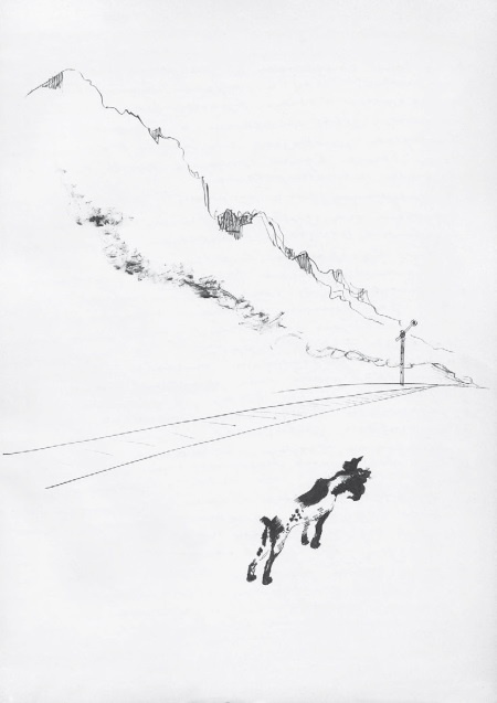 Иллюстрация к книге — Враг Геббельса № 3 [i_061.jpg]