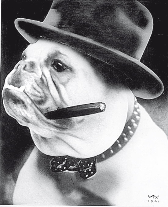 Иллюстрация к книге — Враг Геббельса № 3 [i_101.jpg]