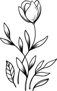 Иллюстрация к книге — Сальса, Веретено и ноль по Гринвичу [i_002.jpg]