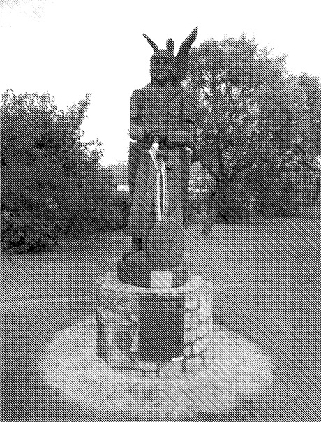 Иллюстрация к книге — Памятники не тем [i_006.jpg]