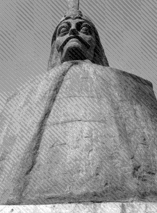 Иллюстрация к книге — Памятники не тем [i_013.jpg]