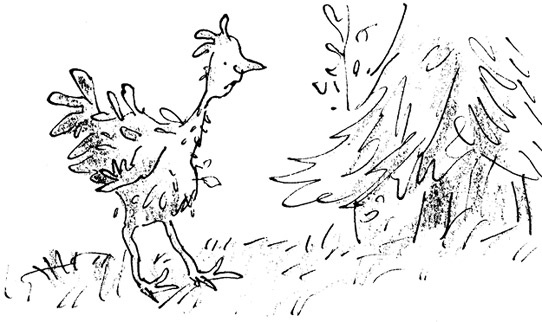 Иллюстрация к книге — Ведьмы [i_016.jpg]