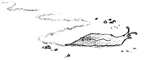 Иллюстрация к книге — Ведьмы [i_021.jpg]