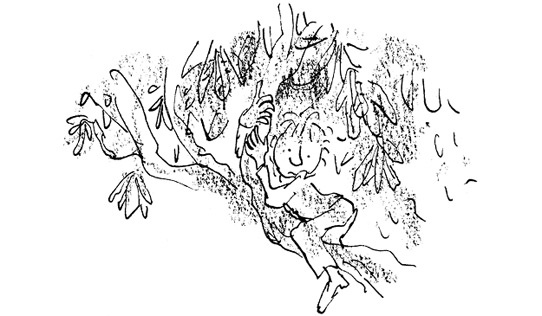 Иллюстрация к книге — Ведьмы [i_025.jpg]