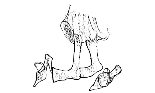 Иллюстрация к книге — Ведьмы [i_038.jpg]