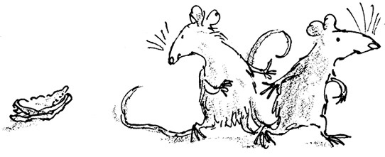 Иллюстрация к книге — Ведьмы [i_067.jpg]