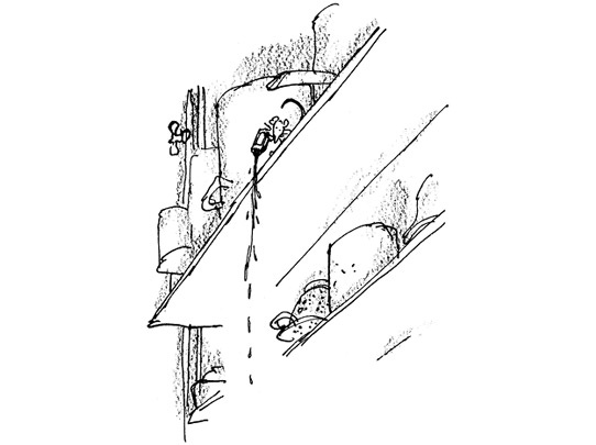 Иллюстрация к книге — Ведьмы [i_086.jpg]