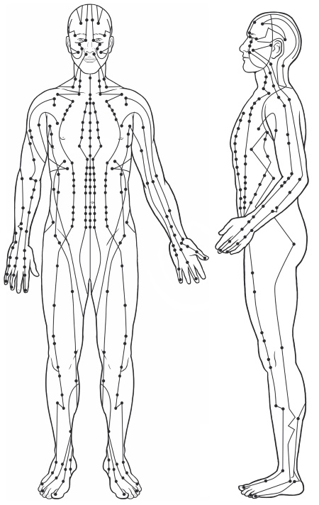 Иллюстрация к книге — Путь Ци. Энергия жизни в вашем теле. Упражнения и медитации [i_005.jpg]