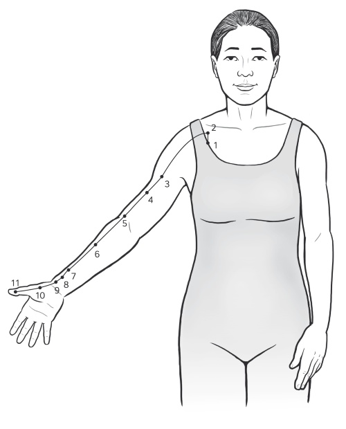 Иллюстрация к книге — Путь Ци. Энергия жизни в вашем теле. Упражнения и медитации [i_007.jpg]