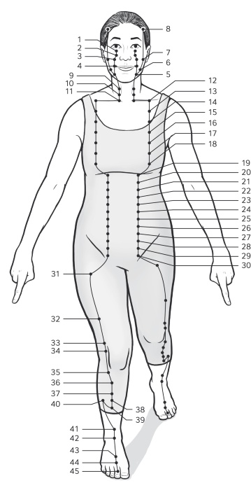 Иллюстрация к книге — Путь Ци. Энергия жизни в вашем теле. Упражнения и медитации [i_009.jpg]