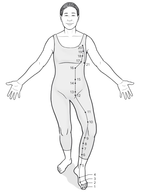 Иллюстрация к книге — Путь Ци. Энергия жизни в вашем теле. Упражнения и медитации [i_010.jpg]