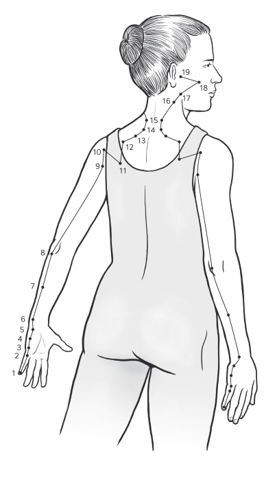 Иллюстрация к книге — Путь Ци. Энергия жизни в вашем теле. Упражнения и медитации [i_012.jpg]