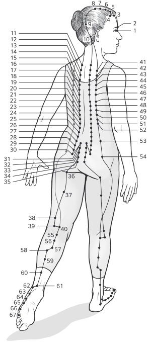 Иллюстрация к книге — Путь Ци. Энергия жизни в вашем теле. Упражнения и медитации [i_013.jpg]