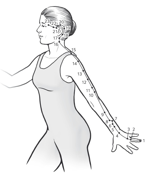 Иллюстрация к книге — Путь Ци. Энергия жизни в вашем теле. Упражнения и медитации [i_016.jpg]