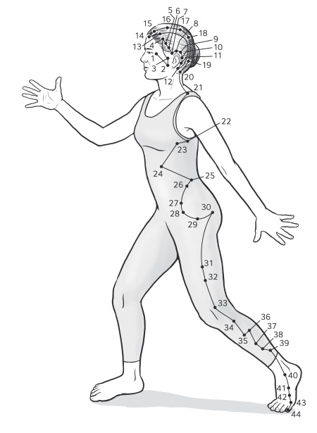 Иллюстрация к книге — Путь Ци. Энергия жизни в вашем теле. Упражнения и медитации [i_017.jpg]