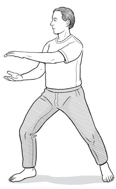 Иллюстрация к книге — Путь Ци. Энергия жизни в вашем теле. Упражнения и медитации [i_031.jpg]