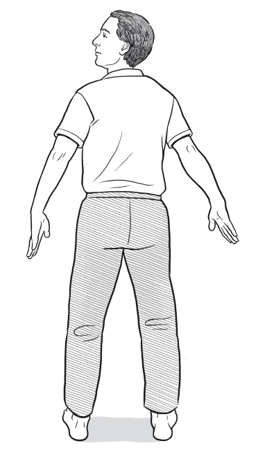 Иллюстрация к книге — Путь Ци. Энергия жизни в вашем теле. Упражнения и медитации [i_043.jpg]