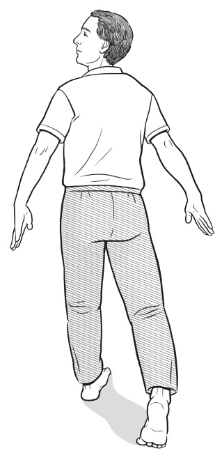 Иллюстрация к книге — Путь Ци. Энергия жизни в вашем теле. Упражнения и медитации [i_044.jpg]