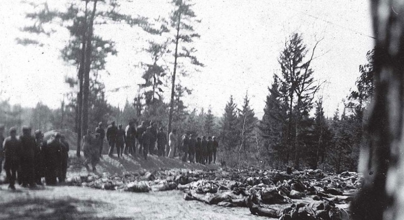 Иллюстрация к книге — Дьявольский союз. Пакт Гитлера – Сталина, 1939–1941 [i_019.jpg]