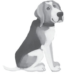 Иллюстрация к книге — Хвостатые истории. Советы по воспитанию собак, лисиц, песцов и других животных [i_002.jpg]