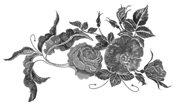 Иллюстрация к книге — Автопортрет с устрицей в кармане [i_001.jpg]