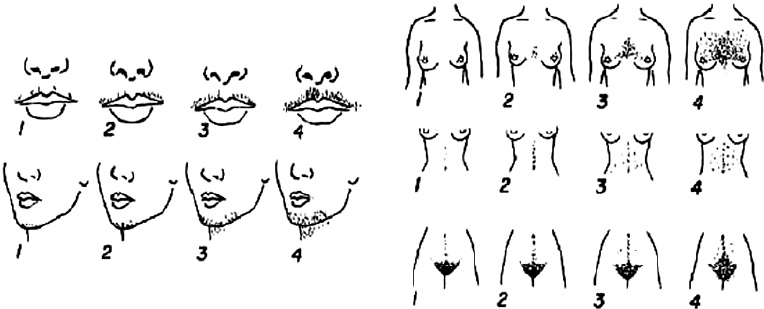 Иллюстрация к книге — Я – женщина. Все о женском здоровье, контрацепции, гормонах и многом другом [i_001.jpg]