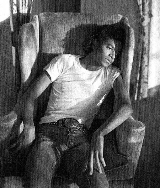 Иллюстрация к книге — Майкл Джексон. Добро пожаловать в Неверлэнд [i_017.jpg]