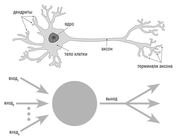 Иллюстрация к книге — Банк 4.0: Новая финансовая реальность [i_051.jpg]