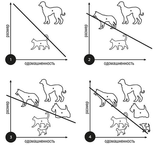 Иллюстрация к книге — Банк 4.0: Новая финансовая реальность [i_052.jpg]