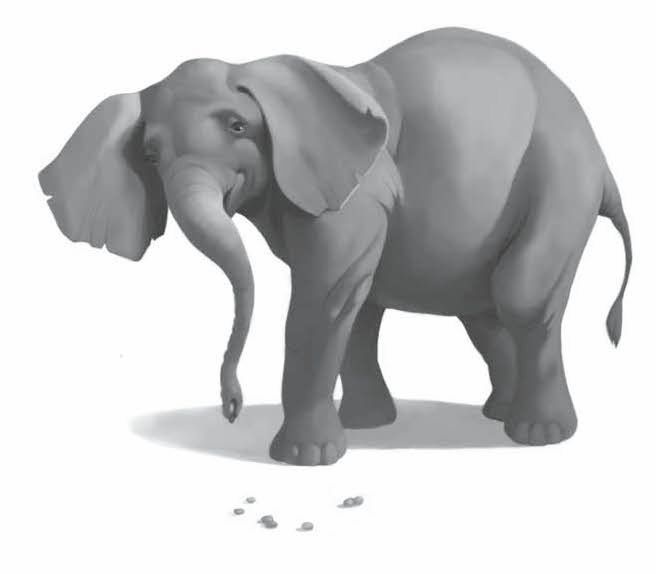 Иллюстрация к книге — Айван, единственный и неповторимый [i_005.jpg]