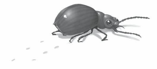 Иллюстрация к книге — Айван, единственный и неповторимый [i_008.jpg]