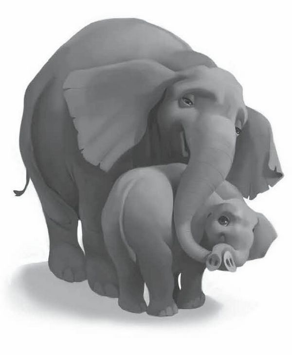 Иллюстрация к книге — Айван, единственный и неповторимый [i_010.jpg]