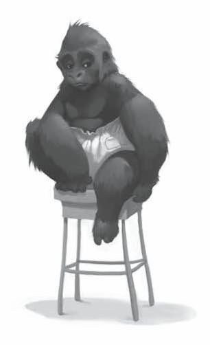 Иллюстрация к книге — Айван, единственный и неповторимый [i_014.jpg]