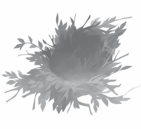 Иллюстрация к книге — Айван, единственный и неповторимый [i_030.jpg]